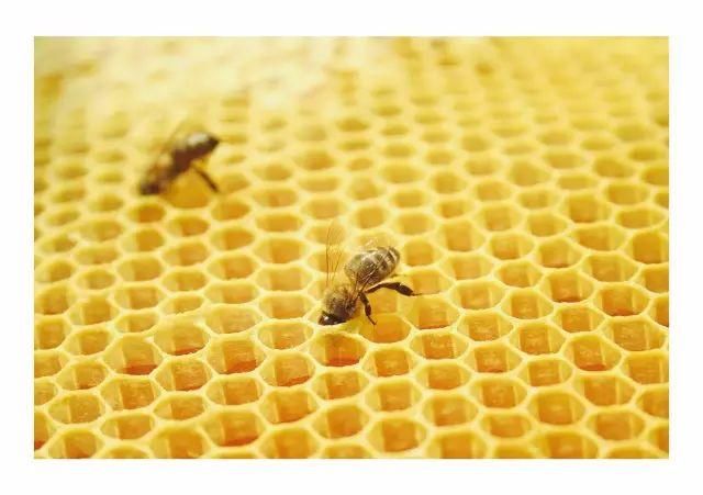 效果逆天的“收毛孔神器”，三周毛孔就变小，都说像去做了医美!