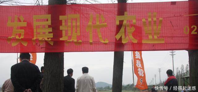 明年起农业补贴新规出台，今后这些农民将无法领取补贴了！