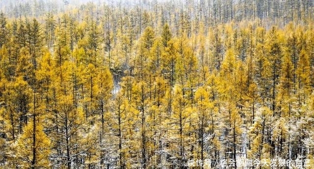 10月旅行地推荐！这几个地方秋色醉美，值得一去