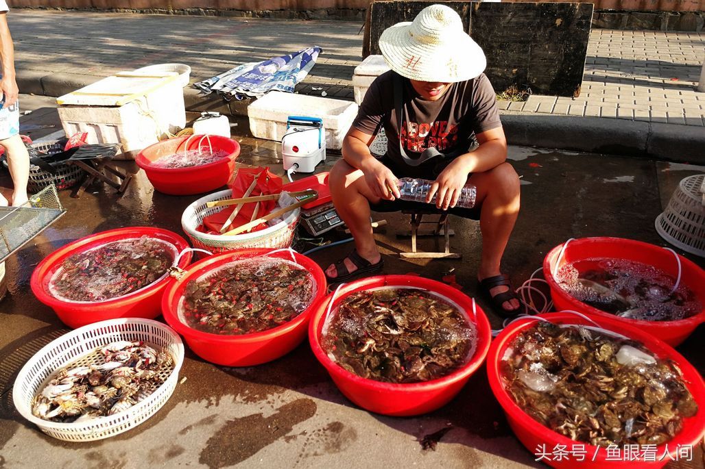 菜市场石蟹打破梭子蟹一统天下 最大60块钱一斤 其他与梭子蟹相仿
