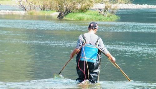  『大鲤鱼』为什么说野钓鲤鱼中鱼不难,难的是连竿给口呢