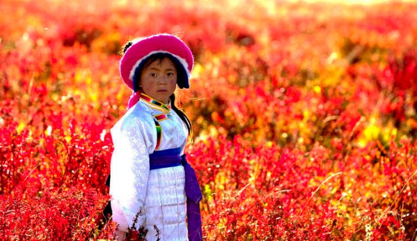 世界的香格里拉十一国庆旅游文化周系列活动及首届虎跳峡哈巴雪山