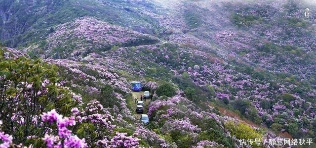 四川一高速正式动工, 建成后这个地方首次通高速