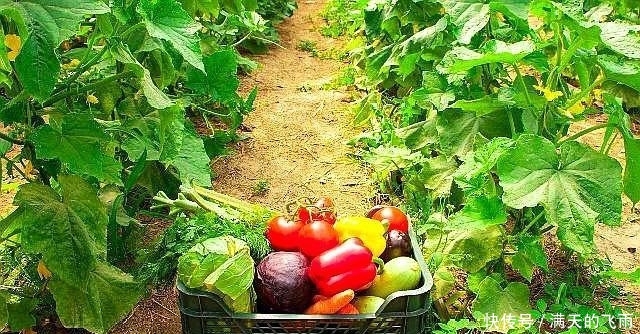  【返乡创业】返乡创业热潮来了，国家大力扶持，这几个项目未来