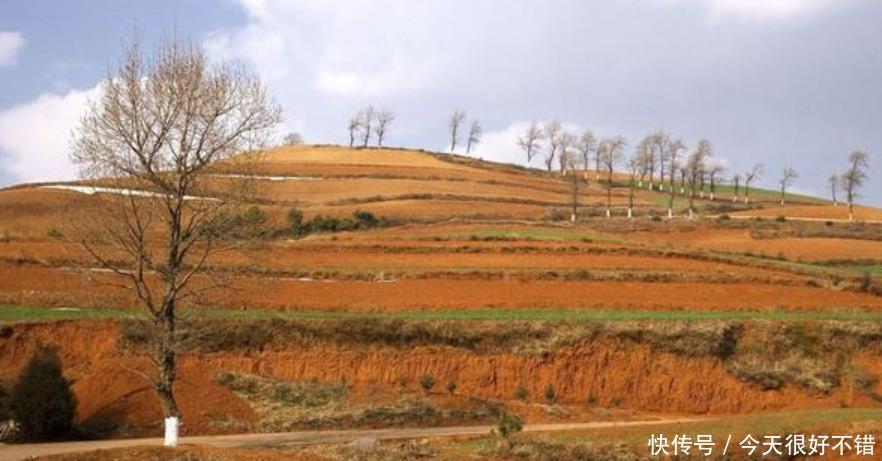  耕地@未来，中国的耕地到底由谁来耕种？中国的粮食到底会由谁来