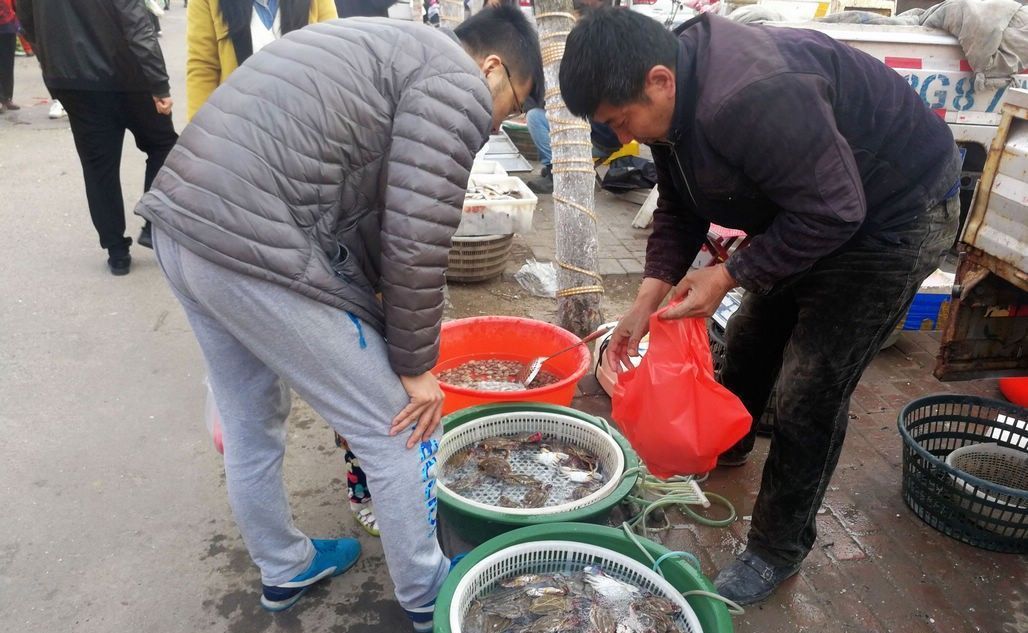 梭子蟹、皮皮虾引领菜市场海鲜新潮 新鲜海鲜替代冰冻成主流