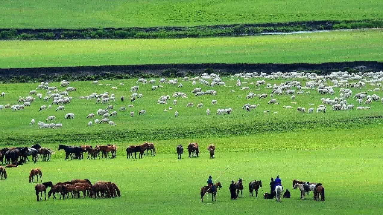 中国最神奇的省份，它和新疆西藏一样不包邮，因为实在太大了！