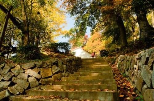 杭州这一古村庄，深秋金黄银杏叶子，隐藏江南绝美秋景