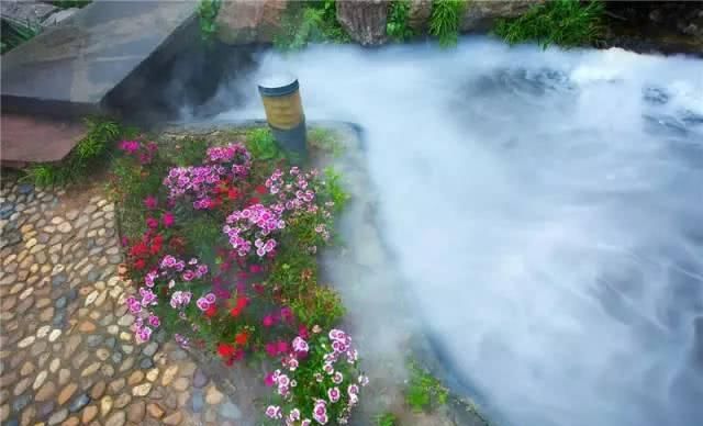 66岁大叔，8年时间打造出了中国最美私家花园，让人叹为观止！