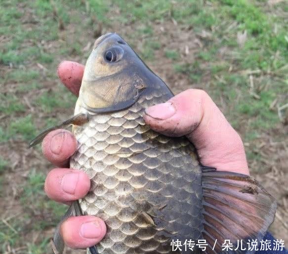  不到■明明是个好天气为啥鱼却不咬钩找不到原因，只会让你在河边吹风