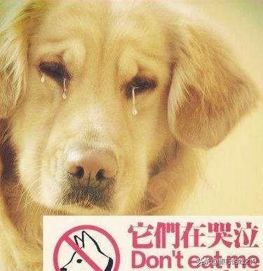 广西最具争议的城市-玉林