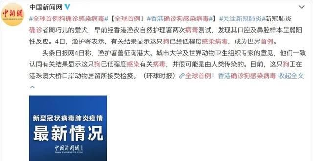 世界卫生组织■网传宠物确诊新冠病毒?世界卫生组织再次紧急辟谣!