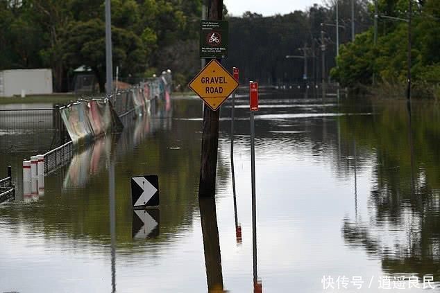  「只毒」澳洲火灾之后又发洪水，暴雨致数百万只毒蚊子滋生或引