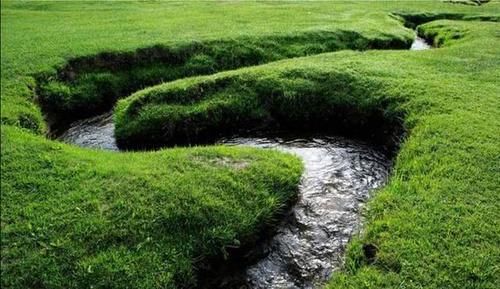  「当做」最“窄”的河流，最窄处只有4厘米，一本书就能当做桥