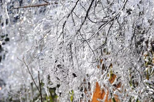 一大波美图正在向你袭来！鹰潭的雾凇让你一秒入仙境！