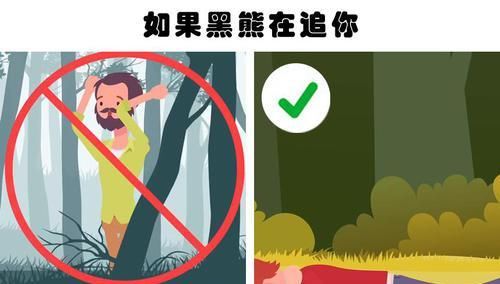 生存:可能会在某一天拯救你生命的10个生存技巧