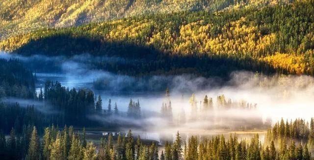 最美的秋天在路上！中国勾魂的秋景就在北疆，惊艳的让人失眠