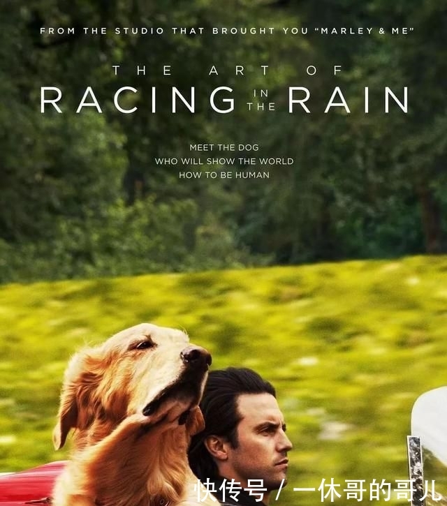 痛苦@在家宅着很痛苦?春节必看20部佳片速拿走