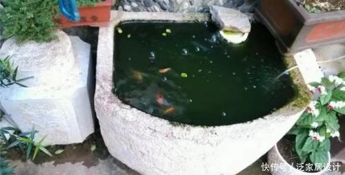 『过滤』什么观赏鱼可以在比较浑浊没有过滤的水质中饲养,而且不会死呢?