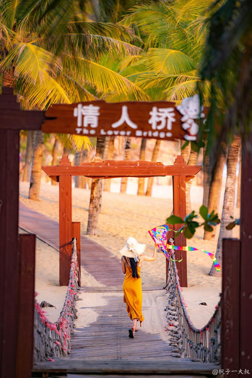 给冬季留点时光，与萌猴呆一会儿，海南未火的便宜海岛处处有惊喜