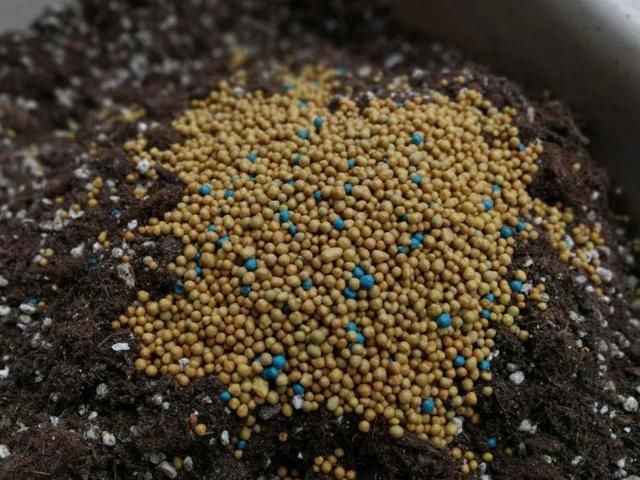  ＂x＂:＂0＂在家自制壮根水，7天浇一次，养出白胖萝卜根！