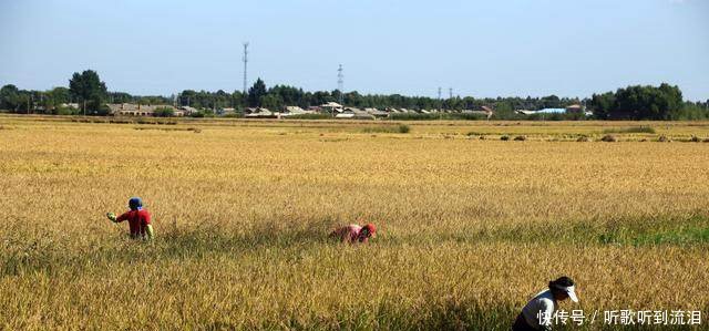 农村老话“正月打雷，遍地是贼”，这句话啥意思