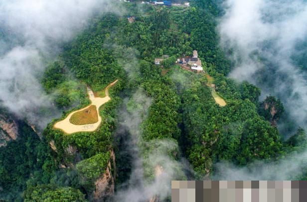 天子山左边的“空中田园”，建造在千米山顶上，像是“世外桃源”