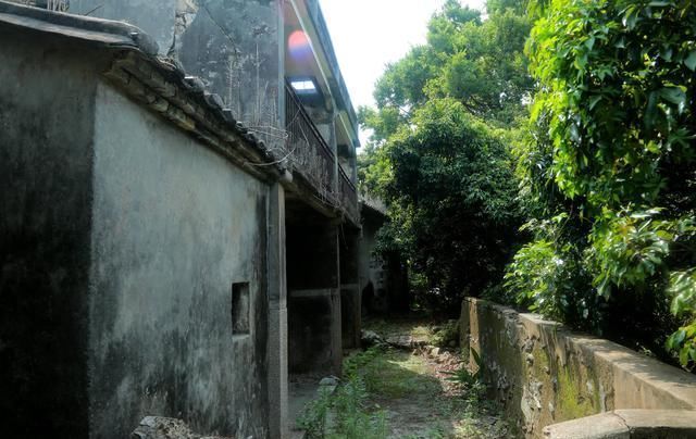 误入深圳大山深处无人村，村子荒芜人烟，一个人走在村子瘆得慌