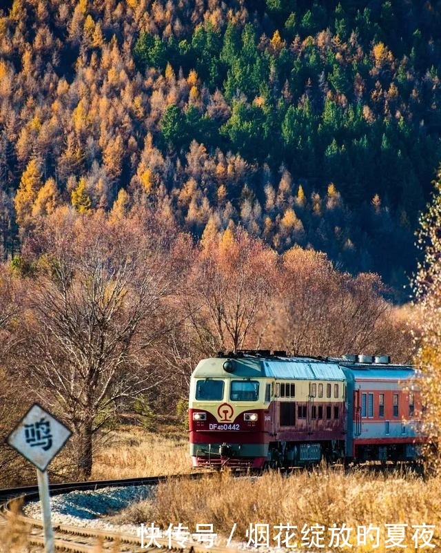 9月来袭！彩林红叶齐绽放，快让国内这6个地方承包整个秋天