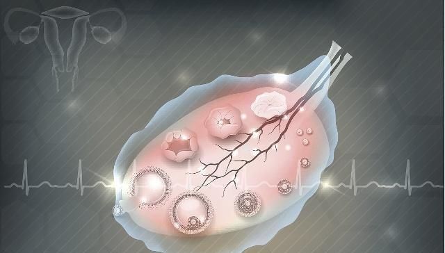  「要备」怀孕前，为什么要备孕3个月的时间？或许和你想的不一样