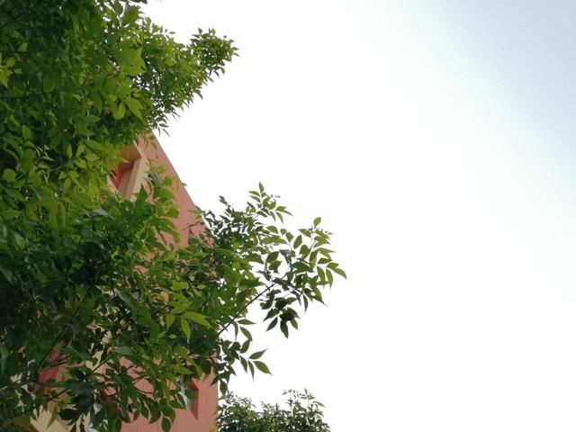 『晴天』突破30℃!河南这些地方今天傍晚有雷阵雨