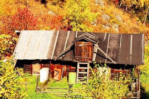 在俄罗斯旅游时，为何导游严厉劝告不要去小木屋，这里面有什么吗