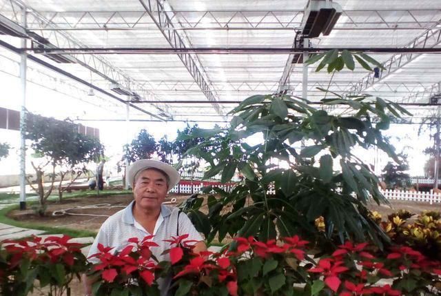  农村：十年后的农村, 这三样东西将会比房子车子还值钱, 你有吗?