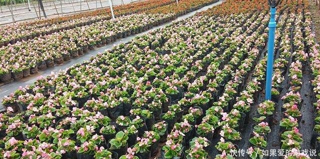 过年一个月，“返乡潮”又起，农村这些行业要火，赚钱机会来了