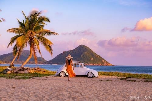 给冬季留点时光，与萌猴呆一会儿，海南未火的便宜海岛处处有惊喜