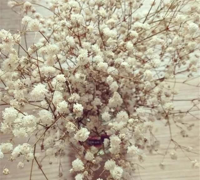  『手工』DIY手工制作：用干花做的花艺作品，比鲜花还美！
