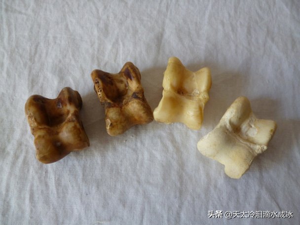 这些老物件在逐渐消失，很多90后00后认不出4件，认识5件你就老了