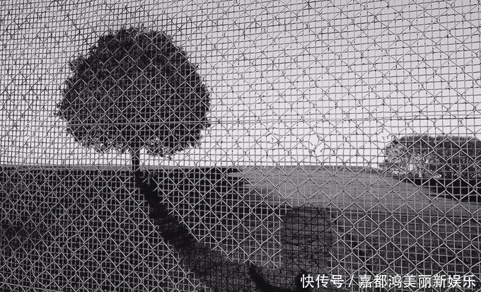 摄影师■对摄影师而言,摒弃色彩会让视觉效果更加纯粹