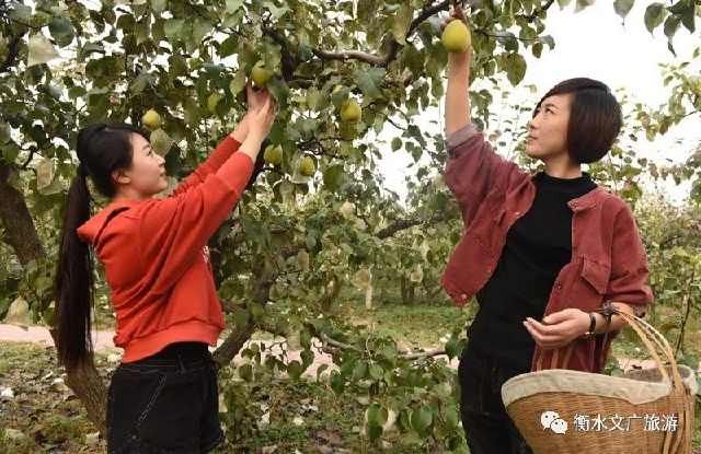 抹不去的运河记忆(四)丨千年古村落——刘老人村