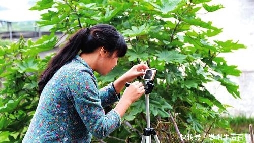  「试试」五年内，农村这两个“新路子”会有前景，不想打工的人