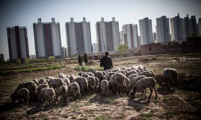 城市户籍转农业户口要开口子：发改委、国务院连续督促尽快探索！