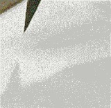 书法技巧:书法动态图教你如何写楷书、行书、