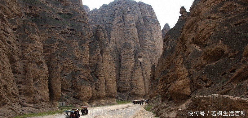 中华自然奇观黄河石林!一县一品公益助农,甘肃景泰特产枸杞