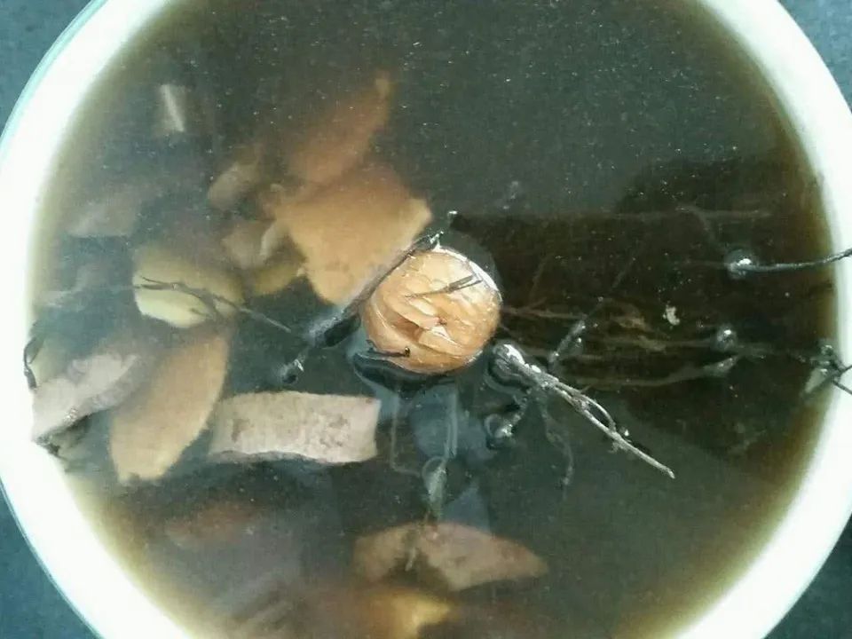  长在农田：一天挖不到1两，见到别错过，它是稀罕的“疳积草”，