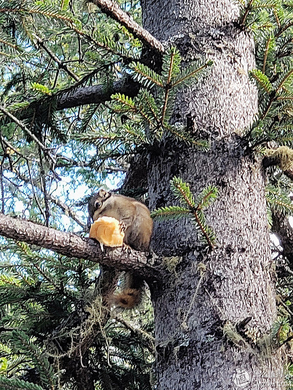 雪山/草场/海子,与魅族16th踏上色达+稻城川西环游
