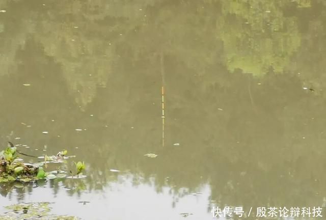 『鱼竿』野钓4小时无口,本以为要空军而归,鱼竿收到一半却中获大板鲫