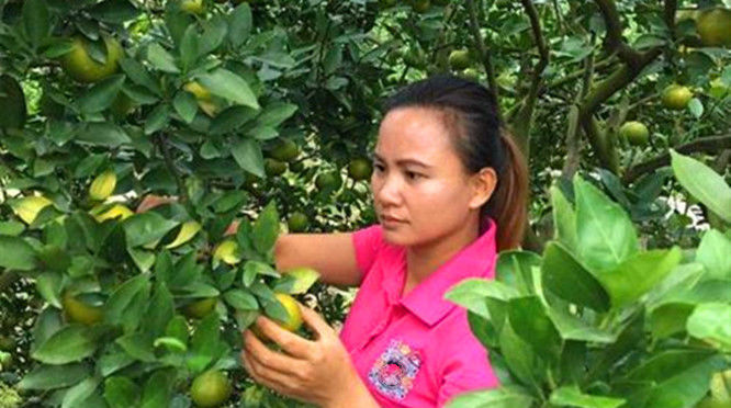  农村|生活在农村的年轻人2020年还担心创业吗？侧面是商机