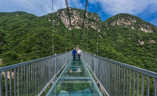 河南最不起眼的景区，却最会讲“故事”，被誉为“中原绿肺”