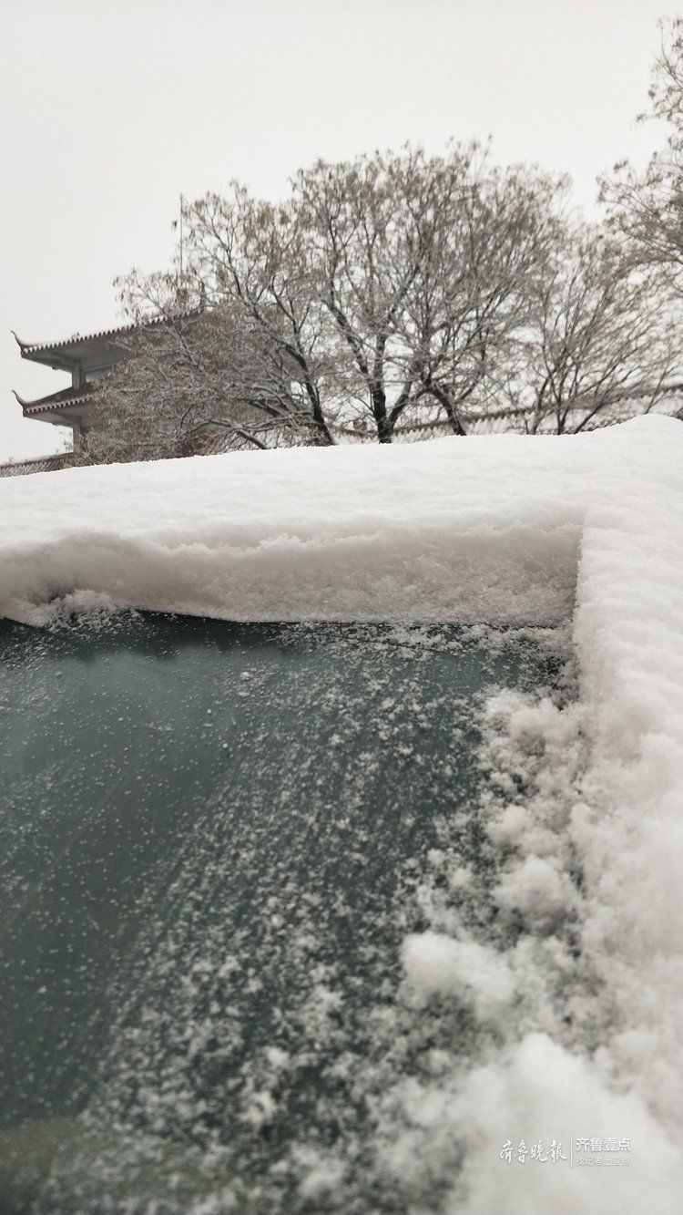 瑞雪兆丰年，淄博迎来了2019年首场降雪