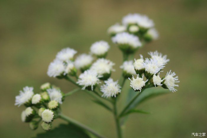 博越自驾游，网红打卡地 上河古村，一场美丽的邂逅